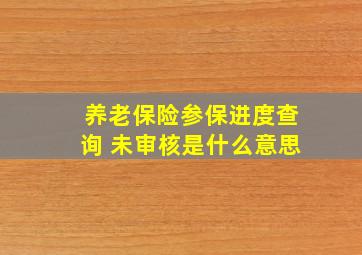 养老保险参保进度查询 未审核是什么意思